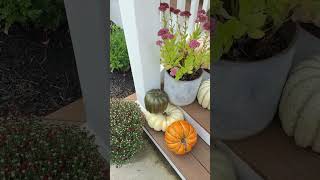 Happy Autumn Equinox! 🍂🍁 This year’s fall porch decor is all about vibrant colors.