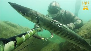 Pesca Sub: Barracuda catturato con la tecnica dell'aspetto dinamico - Spearfishing Techniques