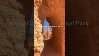 Real life fairytale! #brycecanyonnationalpark #shorts #shortvideo #utah #hike