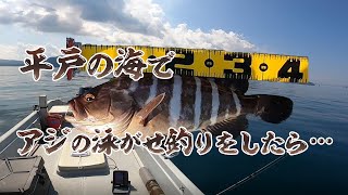 平戸でアジを泳がせたらマハタ（タカバ）が釣れたので、刺身と炙り丼を作ってみた【古江湾レンタルボート】