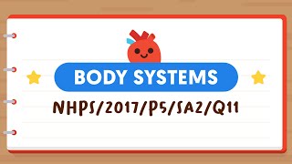 PSLE SCIENCE MADE SIMPLE EP117 | Body Systems | How Are These 4 Gases Affected? 💨