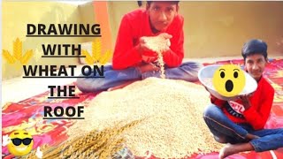 (गेहूं से पुरे छत पर drawing बना दिया) Drawing with wheat on the roof