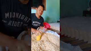 SUKSES PRODUKSI TEMPE