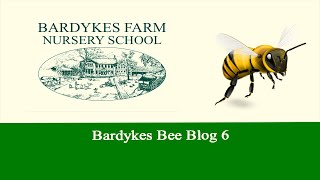 Bardykes Bee Blog 6