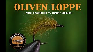 Oliven Loppe. Mine fiskefluer og imitasjonsfluefiske. Fluefiske i sjøen og salte fluer.