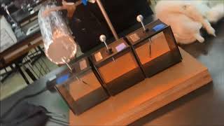 Photoelectric Effect Demonstration