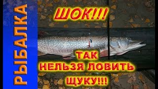 ловля щуки на палку супер