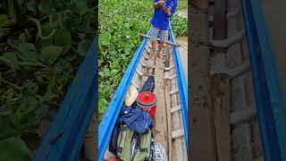 Câu cá basa, tổ đãi người mới#short #cauca #fishing#caucagiaitri