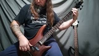 "Damaged" by Queensryche Bass Cover