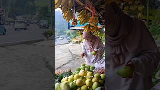 Hunting Sayur & Buah di Puncak Bogor #hunting#sayuran#buah#puncak#puncakbogor#bogor#viralshorts#fypシ