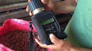 Measuring humidity of cacao beans for chocolate production!