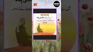 Islamic short | Golden words | Islamic words #quote #trending #islamic #islamicvideo #viralvideo