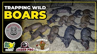 Trapping wild boars- Removing invasive feral hogs while using the Jager pro trapping system.