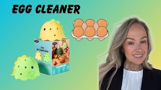 Honest Review of the Egg Cleaner