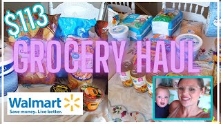 NEW Walmart Grocery Haul WITH PRICES