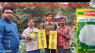 Sakata seed Cauliflower white crystel // साकाता सीड फूलगोभी  व्हाइट क्रिस्टल