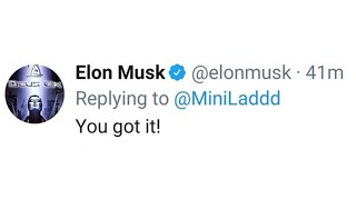 I Got Elon Musk In Trouble