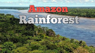 Amazon जंगल के अनदेखे रहश्मयी जीव 😲🤩2024। Amazon rainforest।. अमेजन वर्षावन ।