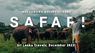 Wasgamuwa National Park Elephant Safari (Sri Lanka Travels, Dec 2023)