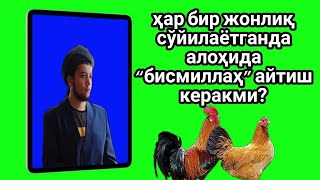 ҳар бир жонлиқ сўйилаётганда алоҳида “бисмиллаҳ” айтиш керакми?