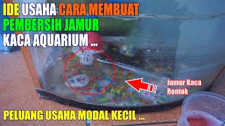 IDE USAHA CARA MEMBUAT PEMBERSIH JAMUR KACA AQUARIUM - PELUANG USAHA PEMBERSIH JAMUR KACA