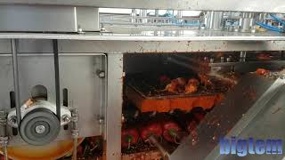 Full Automatic Pepper Head Cutting, Coring System