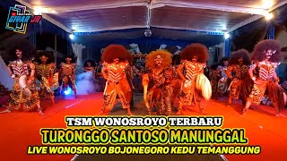 TSM WONOSROYO TERBARU!! KUDA KEPANG TURONGGO SANTOSO MANUNGGAL WONOSROYO BOJONEGORO KEDU