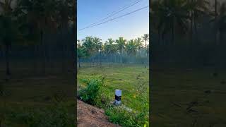 #kanyakumari #heaven #nature #shorts #nagercoil #green #vibes #morningvibes #positivevibes