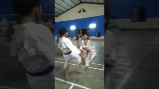 Uji Kelincahan dan Daya Tahanmu Dalam Akurasi Tendangan Target!! #target #kicking #taekwondo