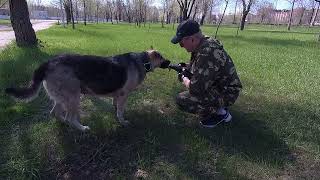 Велопрогулка по Волгограду 21/04/22 часть  -2я