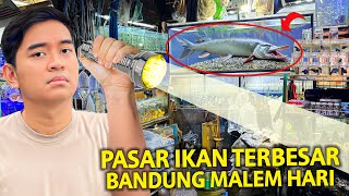 IKAN MONSTER KONTROVERSI DI PASAR IKAN TERBESAR BANDUNG MALAM HARI! TERNYATA MASIH BUKA!