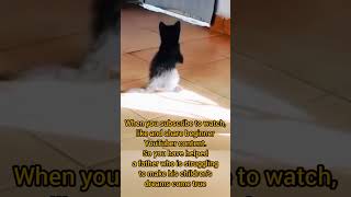 imaginary cat #cat #kids #family #funny #fun #funnyvideo