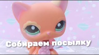 Lps: Собираю посылку для Lps show studio