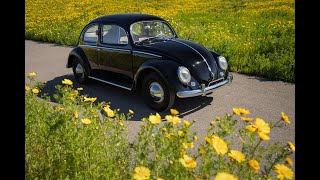 1955 VW Beetle Cold Start