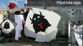 Biggest Hug kite flying in Rawalpindi Basant | kite festival