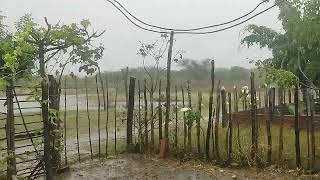 muita chuva no Sertão que Deus abençoe a todos vcs