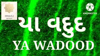 યા વદુદ YA #WADOOD NON STOP TASBIH ZIKAR NEW RAAG 🤲🤲🌹🌹🌹🌹🌹🌹🤲🤲#ismailitasbihdua