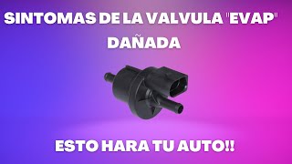 SÍNTOMAS de LA válvula "EVAP" DAÑADA / ASÍ fallara TU auto!!