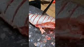 fish cutting