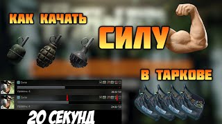 Как качать силу в Таркове. Лучший способ. Как стать сильнее в Escape from Tarkov. Гайд