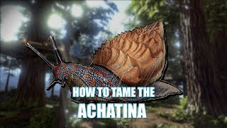 Ark Achatina Taming Guide  - GET TONS OF CEMENTING PASTE NOW!!!