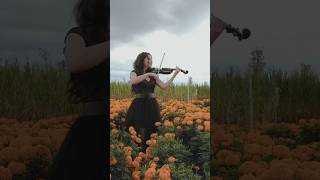 Sally’s song Nightmare before Christmas #halloween #violin #violincover #sallysong #violinista