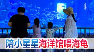 一家三口海洋馆喂海龟，几片菜叶引发海龟大战，根本不够吃啊