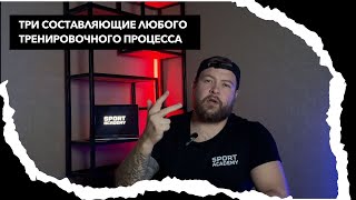 ТРИ составляющие любого тренировочного процесса!