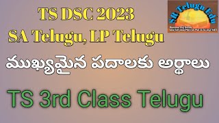 TS DSC Telugu ( SA & LP ) || పదజాలం అర్థాలు ||