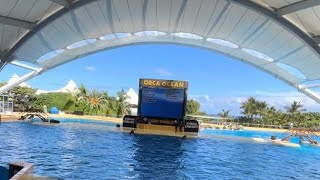 Orca Ocean LORO PARQUE