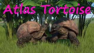 Atlas Tortoise by Scott - Planet Zoo Mod