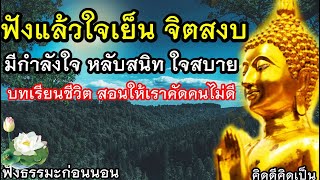 ฟังแล้วใจสบาย ไม่ยึดติด ถ้าทุกข์ใจอย่าคิดมาก🙏ฟังธรรมะก่อนนอน(925)25🙏