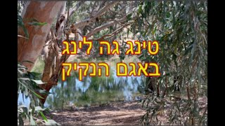 טינג גה לינג באגם הנקיק