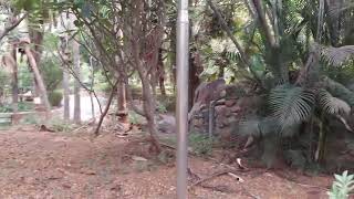 KALYANI NAGAR PARK VLOG